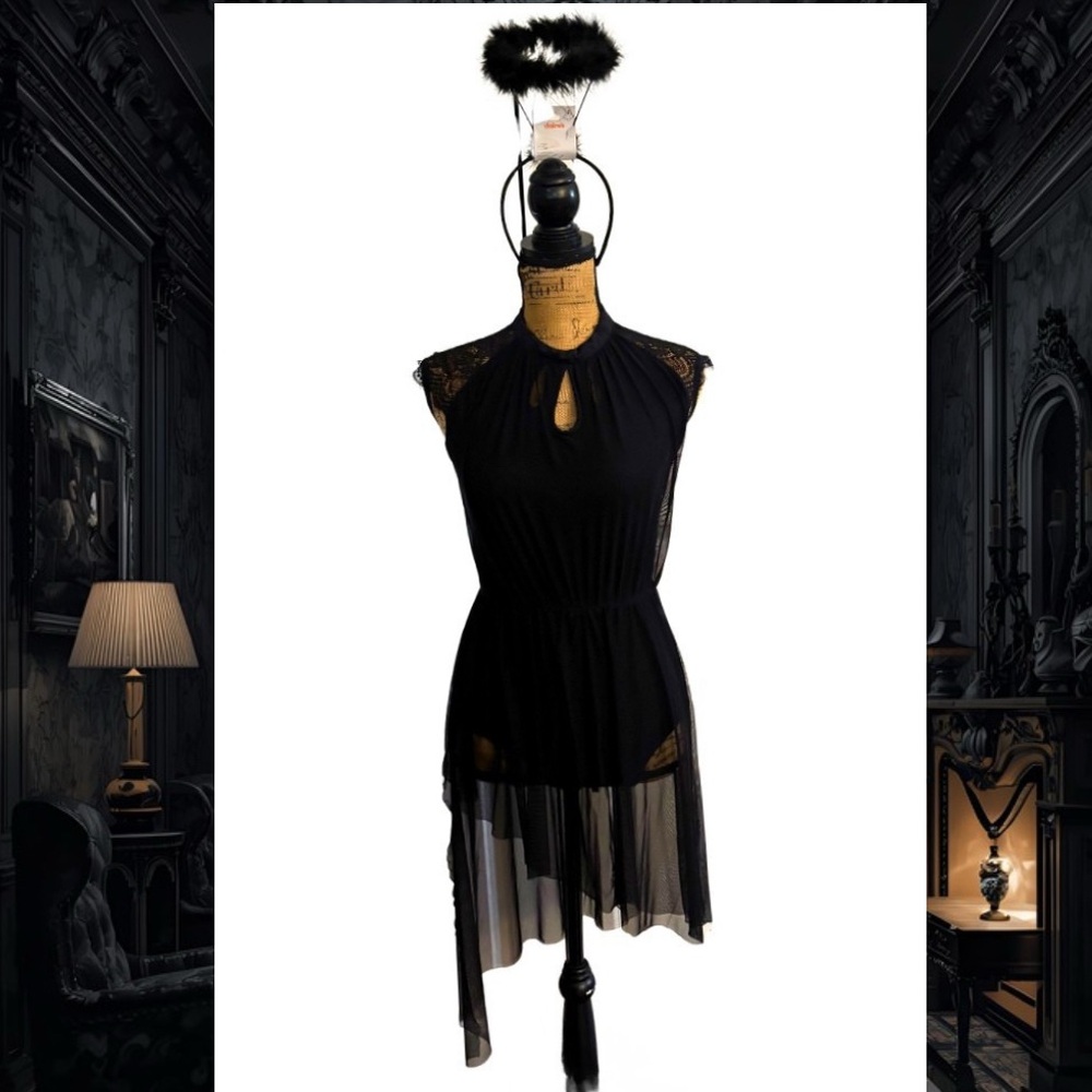 ODAS Black Leotard Sheer Dress